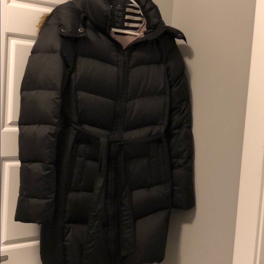 Down filled puffy Gap Winter Jacket